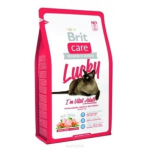 karma dla kota brit care
