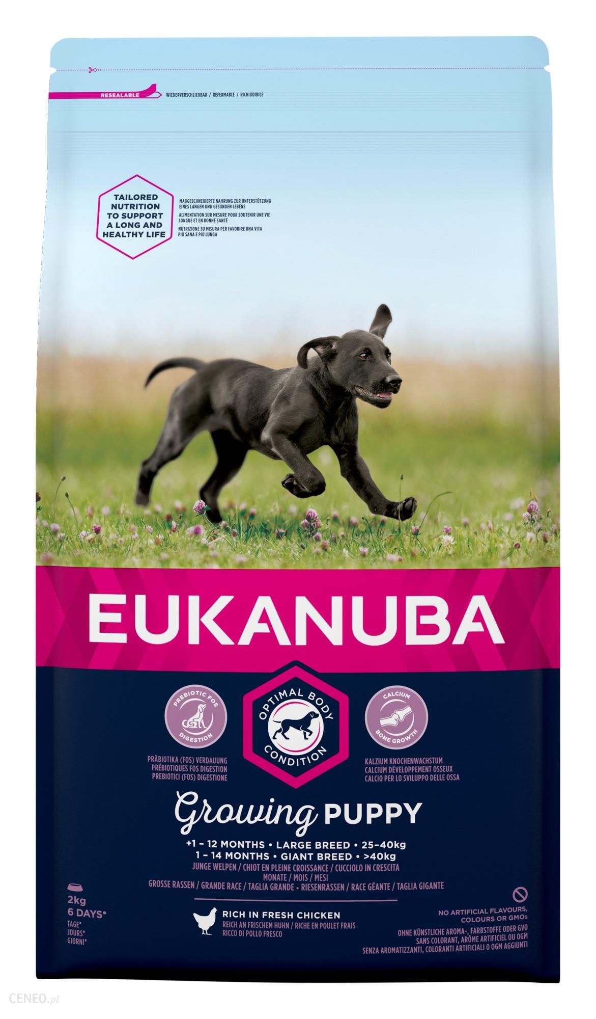 Karma dla szczeniąt Eukanuba Growing Puppy Large Breed