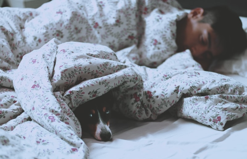 spanie z psem