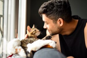 Jak koty okazują miłość?